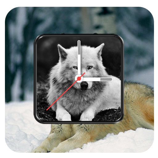 Ware Wolf Clock Live Wallpaper